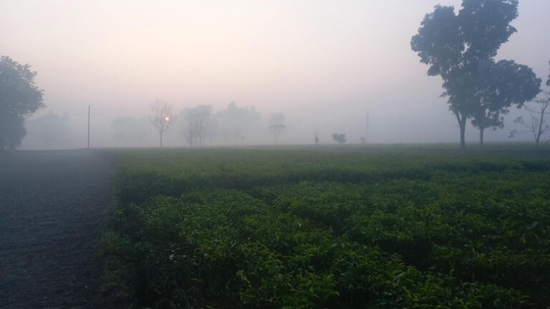 মাঝারি শৈত্যপ্রবাহের কবলে পঞ্চগড়, তাপমাত্রা ৭ এর ...