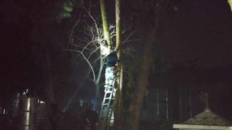 বিজিবির প্রতিবাদের পর কুড়িগ্রাম সীমান্তে বসানো সি...