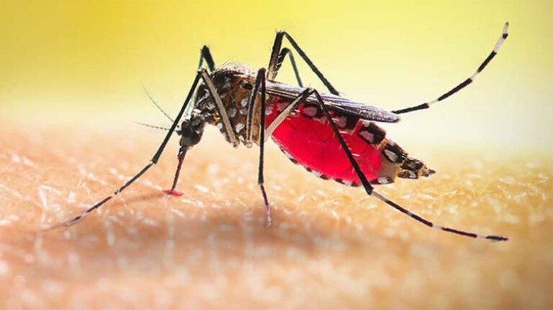 ডেঙ্গুতে আরও একজনের মৃত্যু...