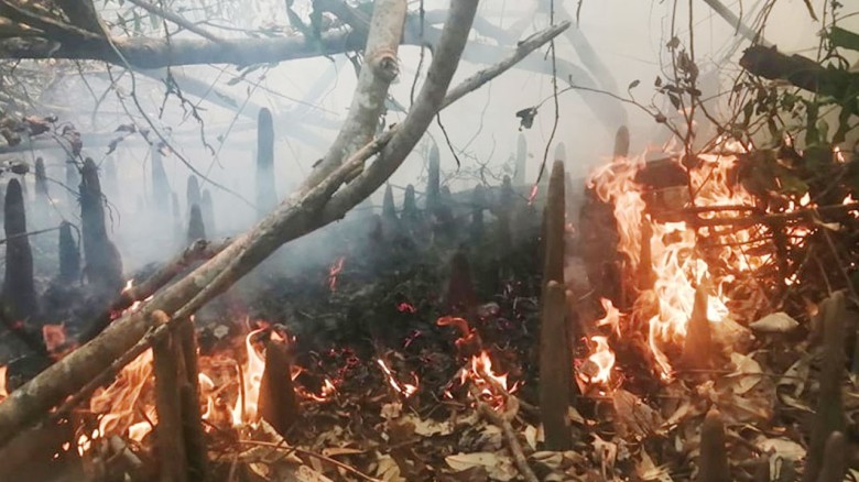 সুন্দরবনের কলমতেজী এলাকায় আগুন...