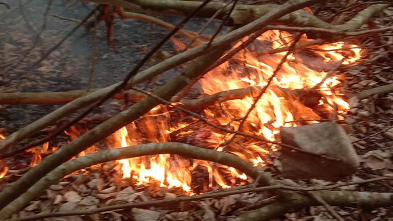 সুন্দরবনে আগুন, ধারেকাছে নেই পানির উৎস...