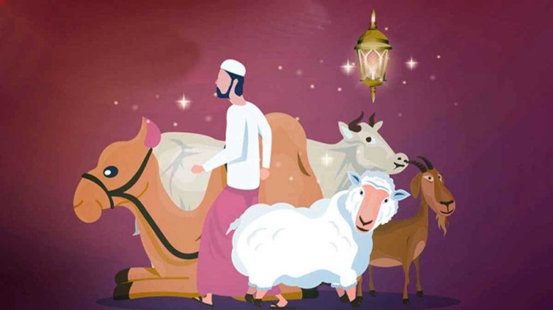 কোরবানি না দিয়ে কী আকিকা করা যাবে ?...