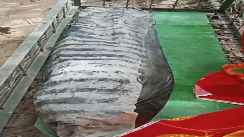 হবিগঞ্জে ৪৮ দিন পর কবর থেকে তোলা হলো মুসলিম আলী চৌ...