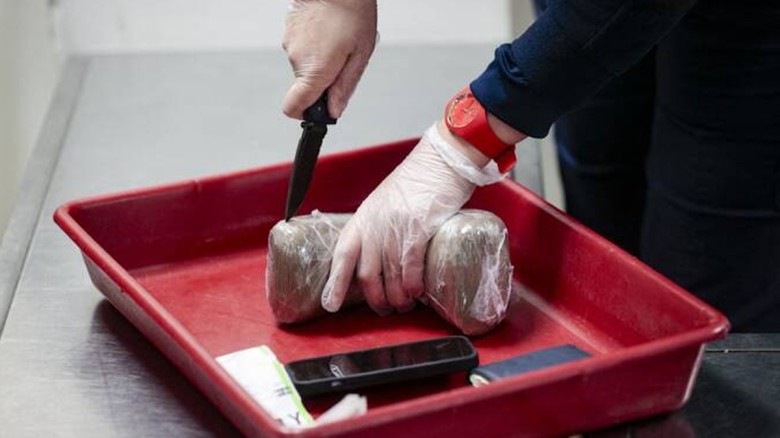 সৌদির সহায়তায় ১২৫ কেজি কোকেইন জব্দ লেবাননে...