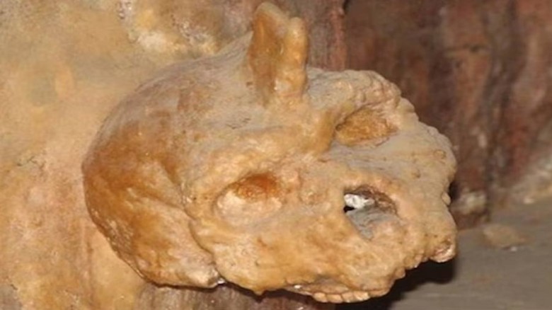 নিয়ান্ডারথালদের যুগে ছিল হোমিনিড গোষ্ঠীও! খুলিতে মিলল ৩ লক্ষ বছর আগের ইতিহাস