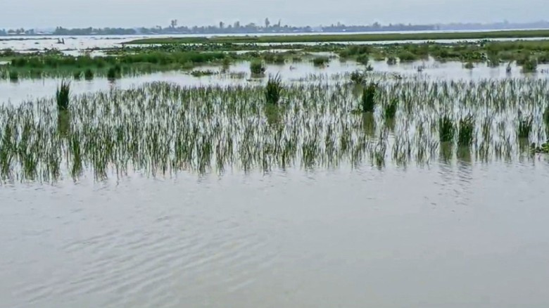কু‌ড়িগ্রা‌মে বেড়েছে নদ-নদীর পা‌নি, নিম্নাঞ্চল প্লা...