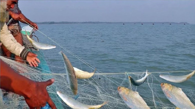 নিষেধাজ্ঞা শেষে ইলিশ শিকারে নেমেছে জেলেরা...