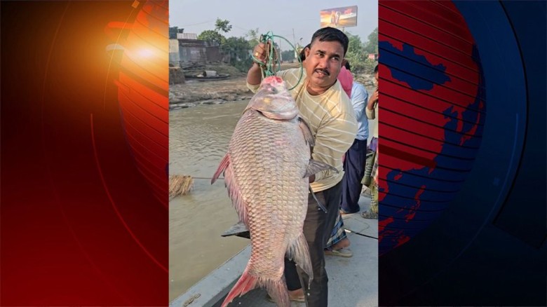 দৌলত‌দিয়ায় ১৯ কেজির কাত‌ল ৫২ হাজারে বিক্রি