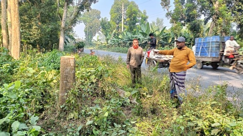 মহেশপুরে সড়কে গাছ ফেলে ডাকাতি