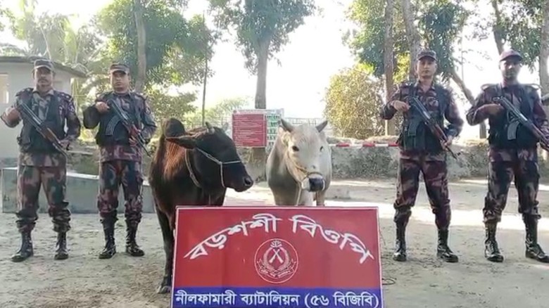 পঞ্চগড় সীমান্তে বিজিবির অভিযানে ভারতীয় গ