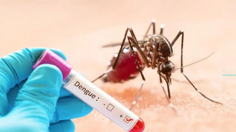 ডেঙ্গুতে আরও ২ জনের মৃত্যু, হাসপাতালে ভর
