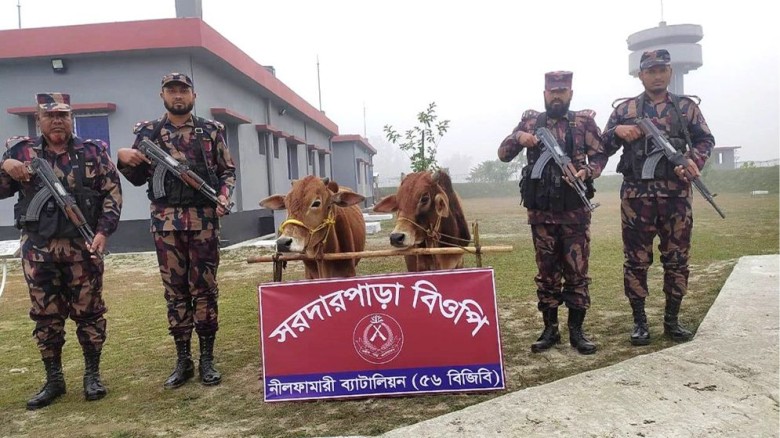 পঞ্চগড় সীমান্তে বিজিবির অভিযান, ভারতীয় গরু আটক...