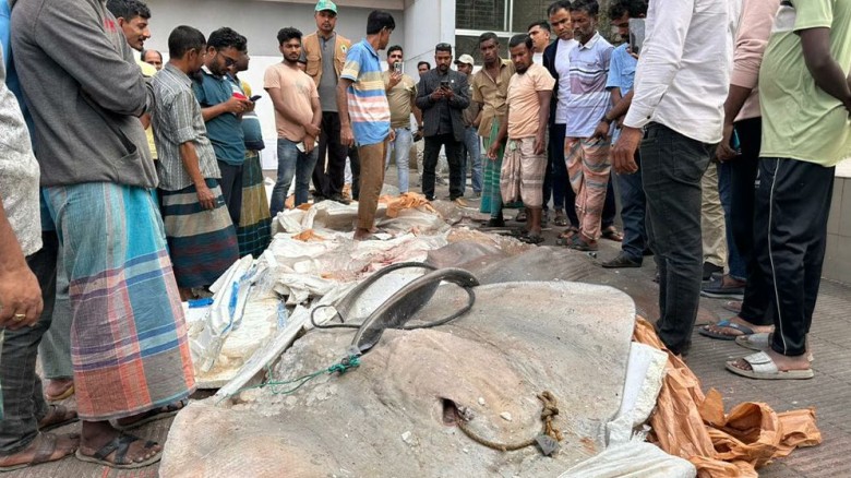 চুয়াডাঙ্গায় হাম উপসর্গ নিয়ে আরও এক শিশুর মৃত্যু...
