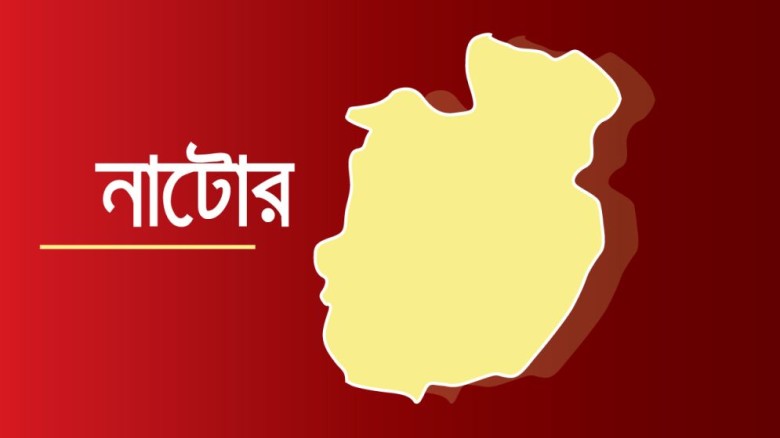 নাটোরে স্ত্রী ও সন্তানের হাতে মাছ ব্যবসায়ী খুন...