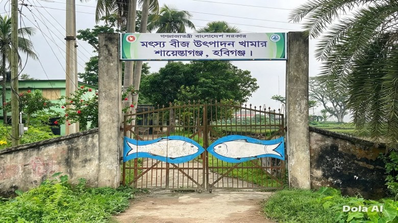 শিল্পায়ন ও ছয় লেনের সড়কের চাপে শায়েস্তাগ
